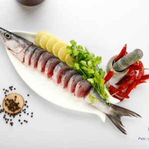சீலா மீன்<BR> SHEELA (BARRACUDA)