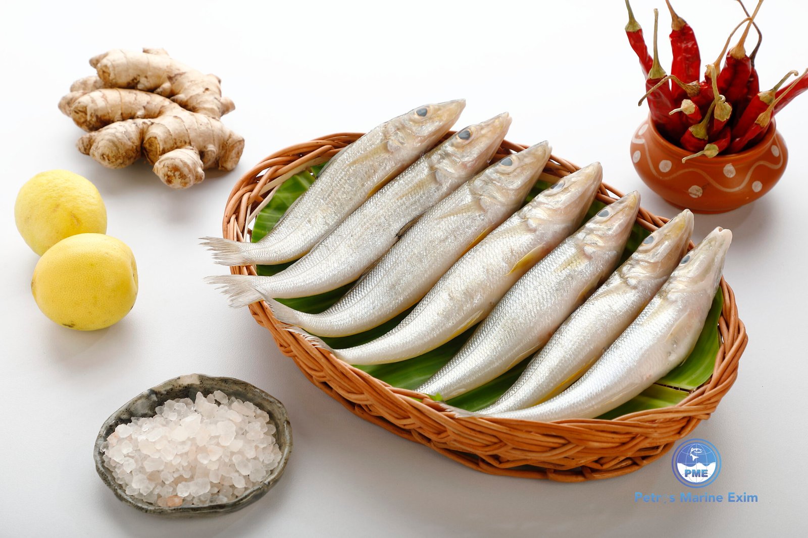 வெள்ளை கிளாங்கான் மீன் <BR>LADY-FISH