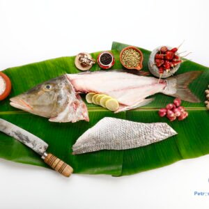 கார்வா மீன் <BR>LONG-NOSE-KUSHAL-FISH