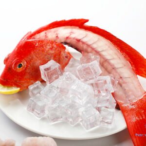 கலவா மீன் <BR>MOON-TAIL-GROUPER