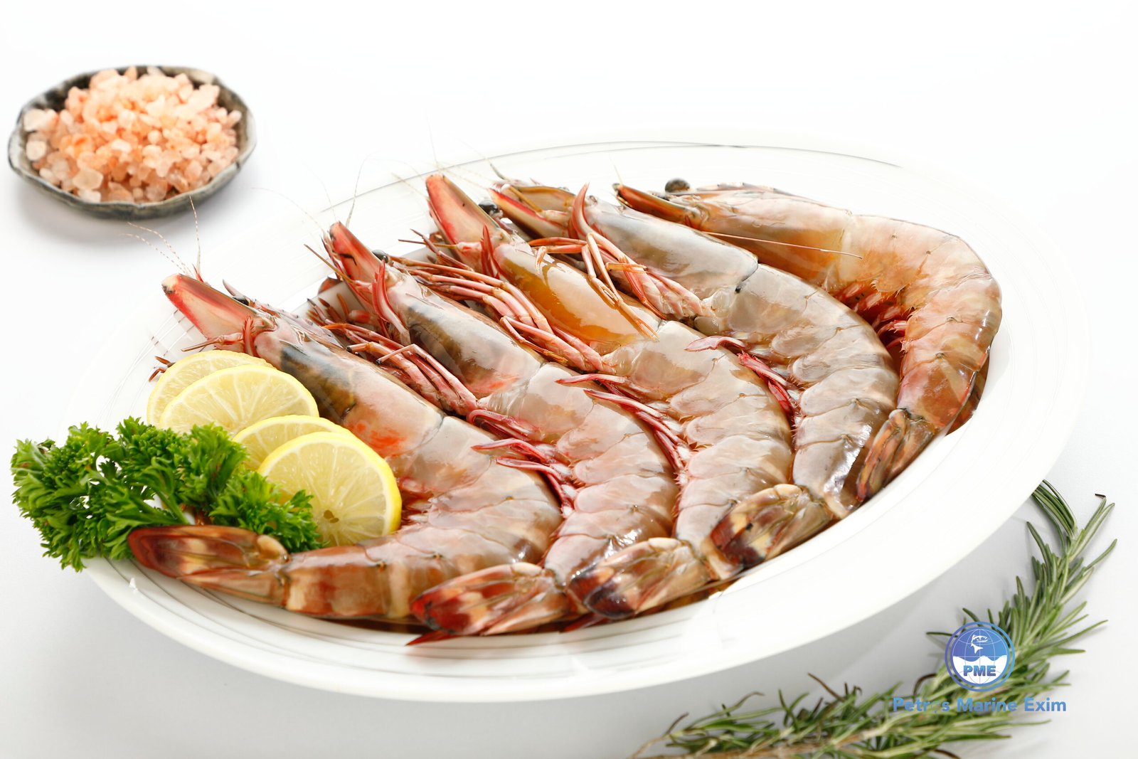 வரி இறால் <BR> SEA-TIGER-PRAWNS