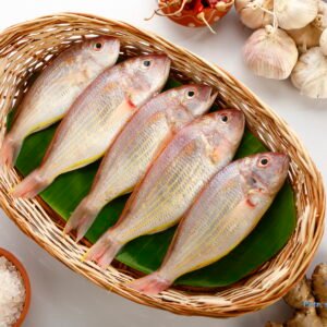 சங்கரா மீன் <BR>JAPANES BREAM