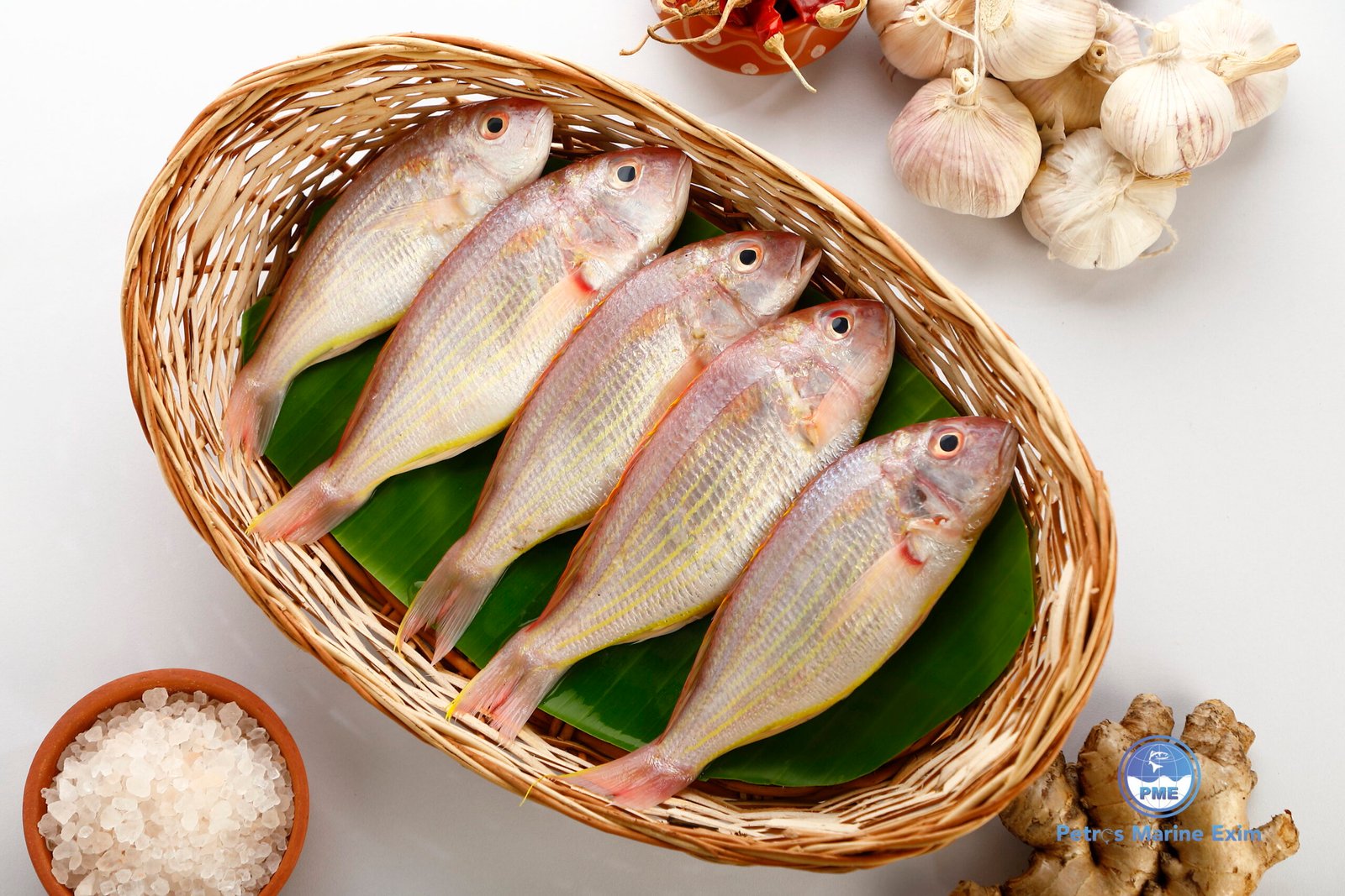 சங்கரா மீன் <BR>JAPANES BREAM
