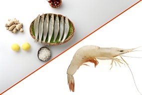 வெள்ளை கிளாங்கான் மீன் + வெள்ளை இறால் WHITE-PRAWNS(500G) +LADY-FISH(500G)