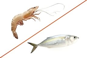 வெள்ளை இறால் + கனங்கேளுத்தி SEA TIGER PRAWN(500G) + KANANKELUTHI(500G)